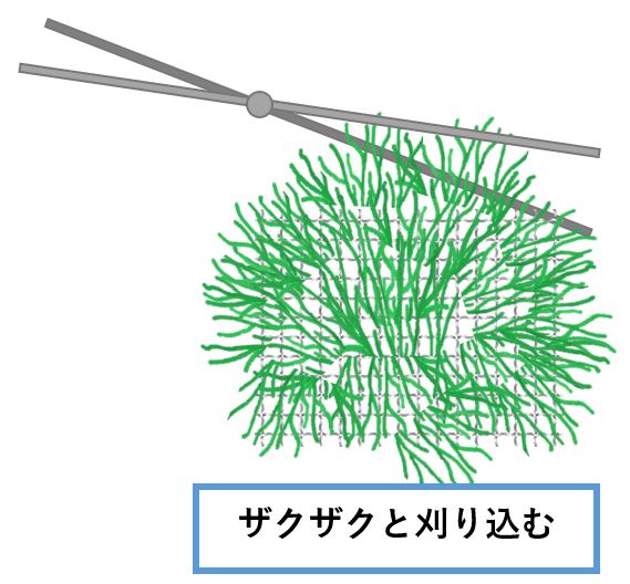 リシアの育て方 Aquarium Library