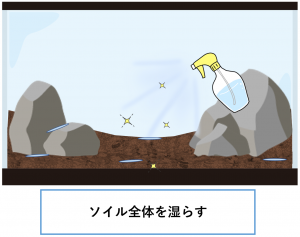 植栽-底床を湿らす