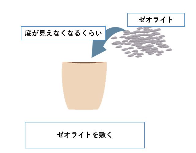観葉植物を水槽で育てるハイドロカルチャーとは やり方とオススメの観葉植物 Aquarium Library
